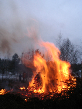 Kokko
