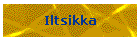 Iltsikka