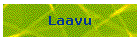 Laavu