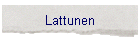 Lattunen