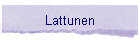 Lattunen